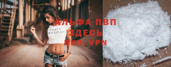 гидра Алексеевка