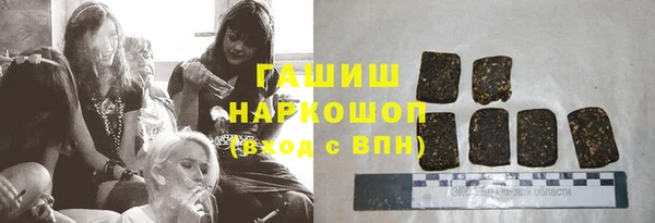 гидра Алексеевка