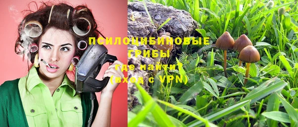 спиды Осташков