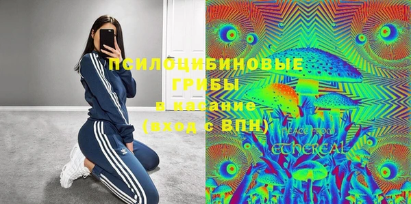 гашик Остров
