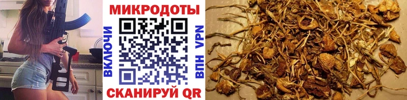 купить наркотик Нытва Галлюциногенные грибы прущие грибы